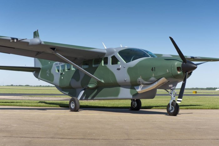Самолёт Cessna 208 Caravan