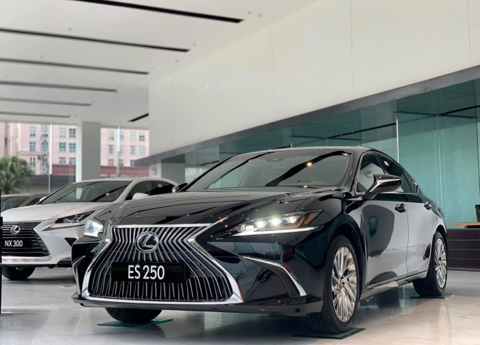 Лексус es 250 2020