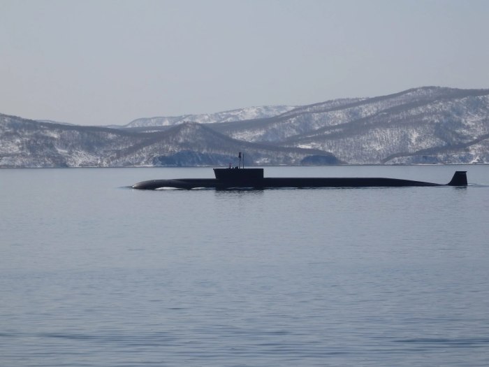 База подводных лодок на Камчатке Вилючинск
