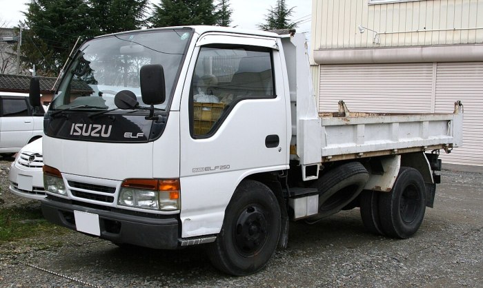 Isuzu Elf 250