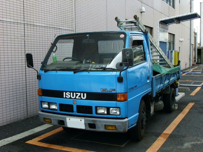 Isuzu Elf 1995