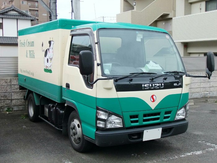 Isuzu Elf 5