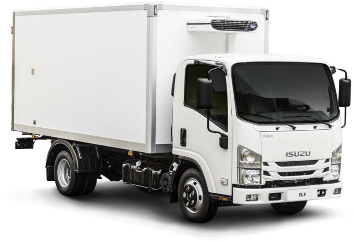 Isuzu NMR 85h (промтоварный фургон)