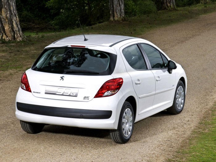 Peugeot 207 хэтчбек 5