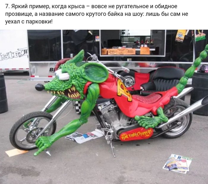 Рэт Финк на мото