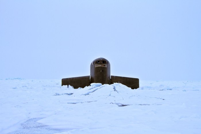 Подлодка 667 БДРМ