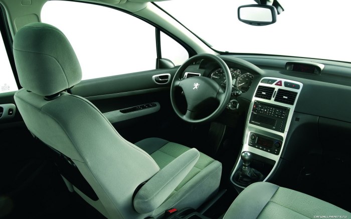 Peugeot 307 Interior