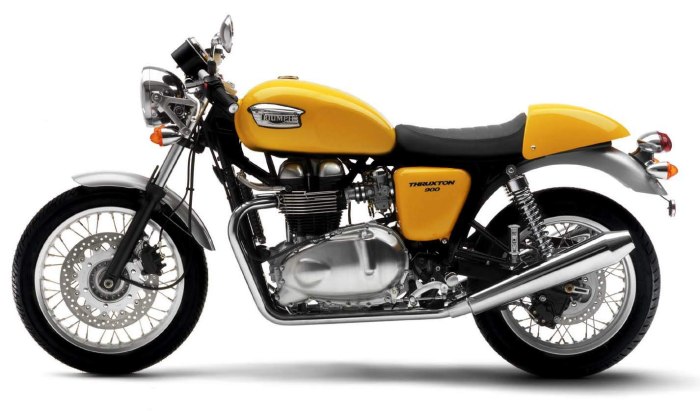 Thruxton 900