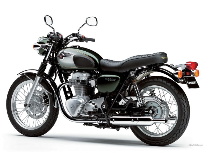 Kawasaki w800 2022