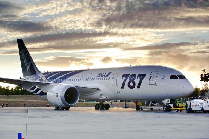Дримлайнер 787