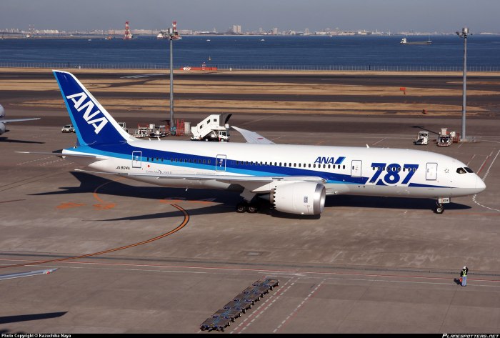 Боинг 787-8