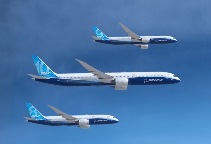 Боинг 787-8 Дримлайнер