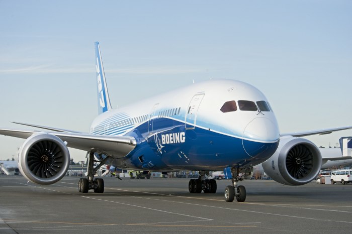 Боинг 787 10 Дримлайнер