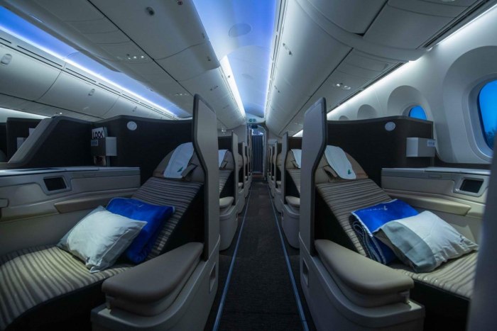 Боинг 787-8 Дримлайнер салон