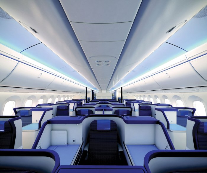 Боинг 787-8 Дримлайнер