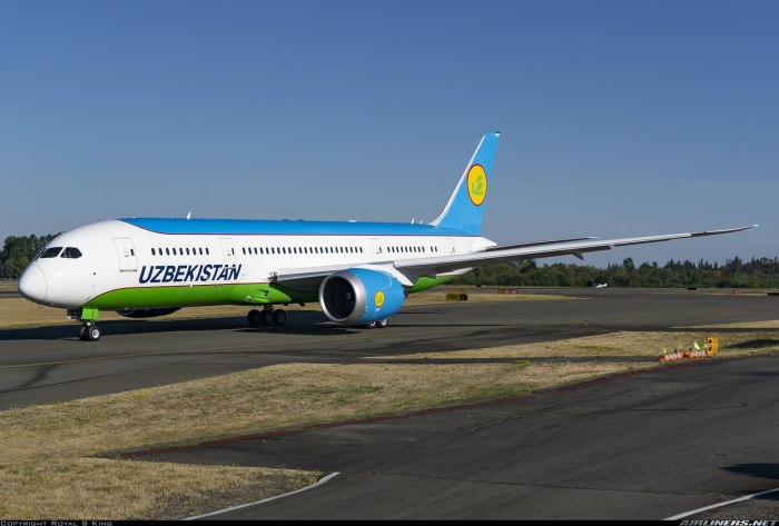 Боинг 787-9 Uzbekistan Airways