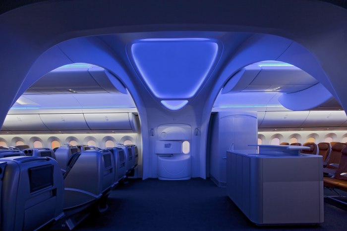 Боинг 787 Дримлайнер