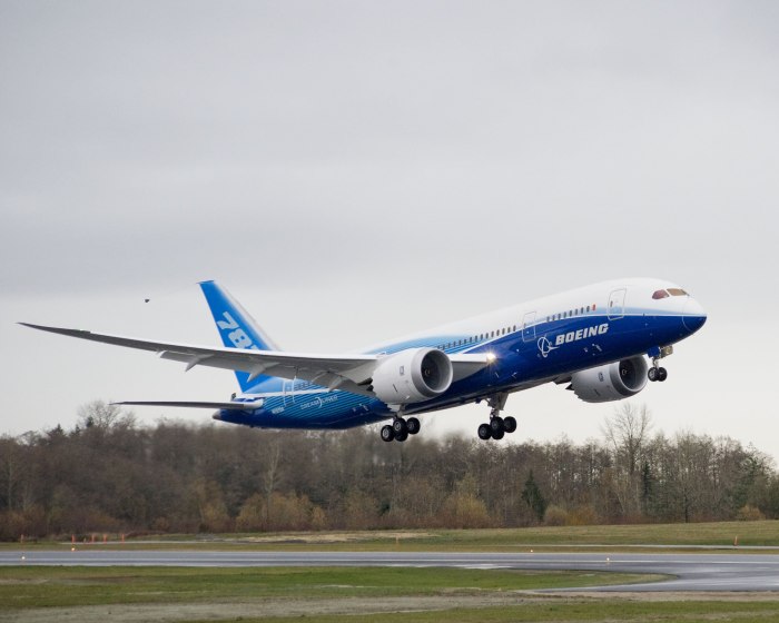 Боинг 787 Дримлайнер фото