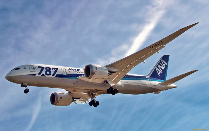 Дримлайнер 787