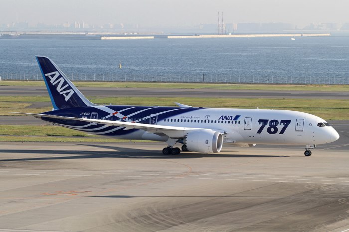Самолет Дримлайнер 787