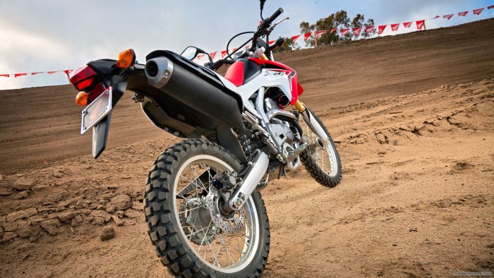 Honda CRF 250 эндуро