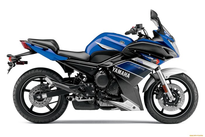 Yamaha fz1 2013