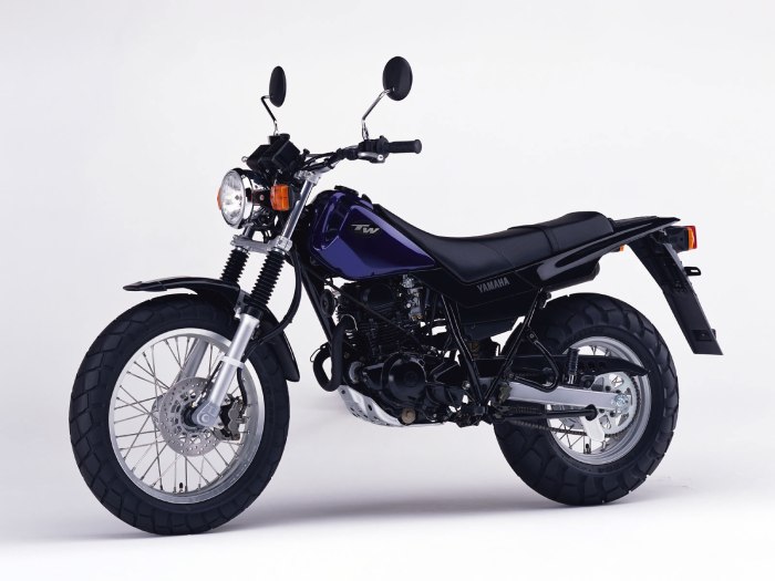 Yamaha TW 125