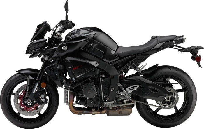 Yamaha fz1 & mt10
