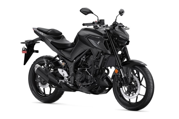 Yamaha MT 03 2020