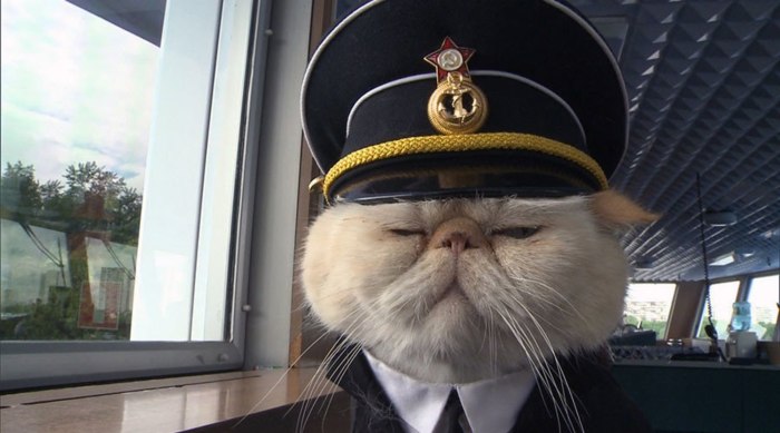 Николай Чернышевский кот
