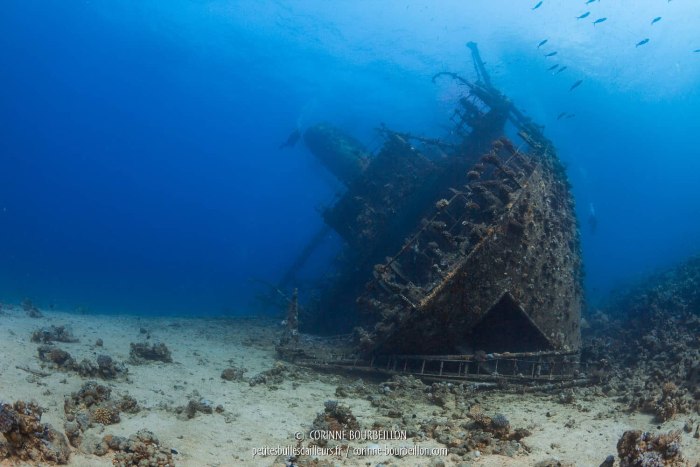 Корабль SS Thistlegorm, красное море