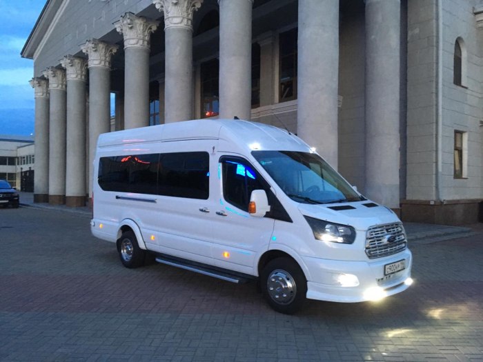 Ford Transit (17)