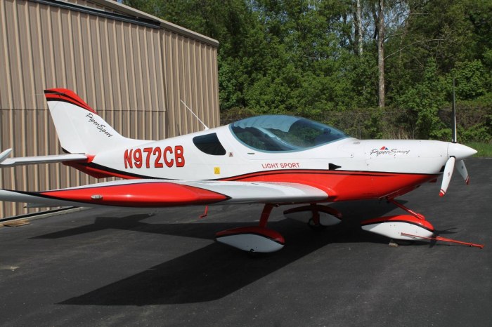 «Piper Sport» (ra-1381g)