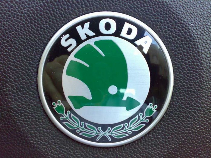 Новый значок шкоды