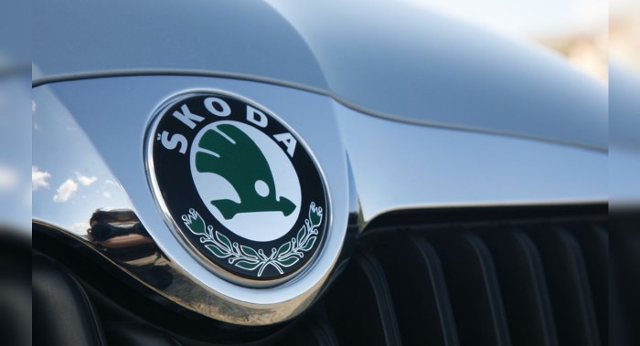 Skoda Emblem