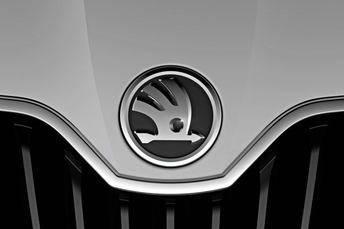 Skoda Emblem