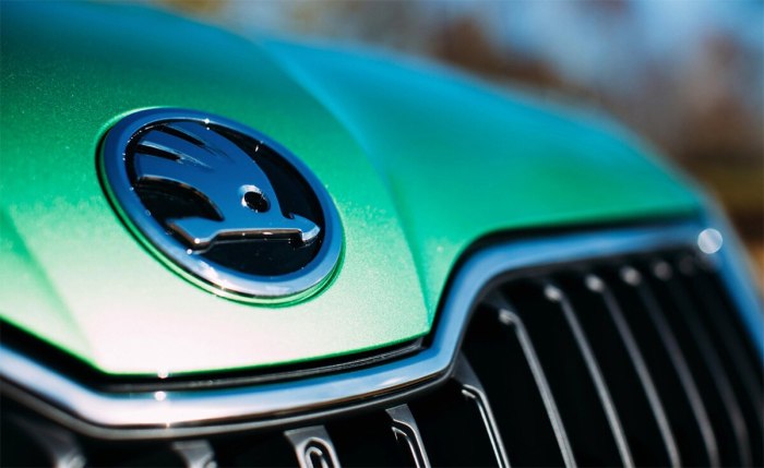 Skoda Emblem
