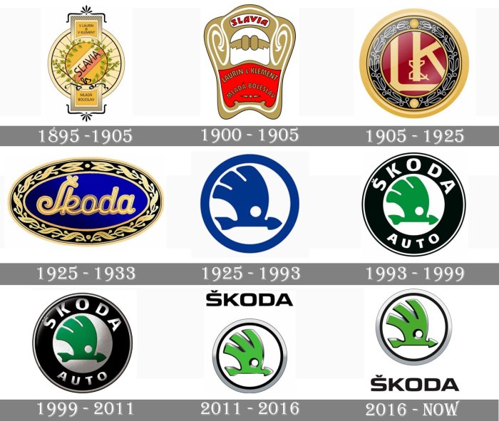 Skoda logo Evolution
