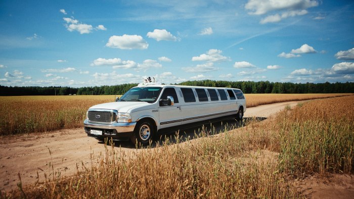 Ford Excursion 2002