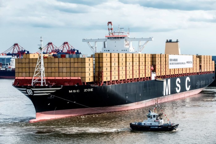 Судно MSC Zoe
