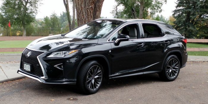 Lexus rx300 f Sport