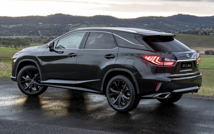 Lexus rx300 2019