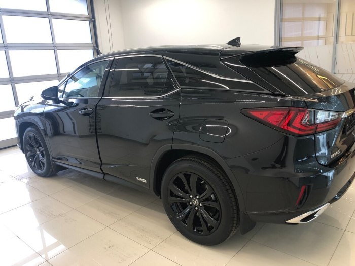 Lexus rx300 2020 черный