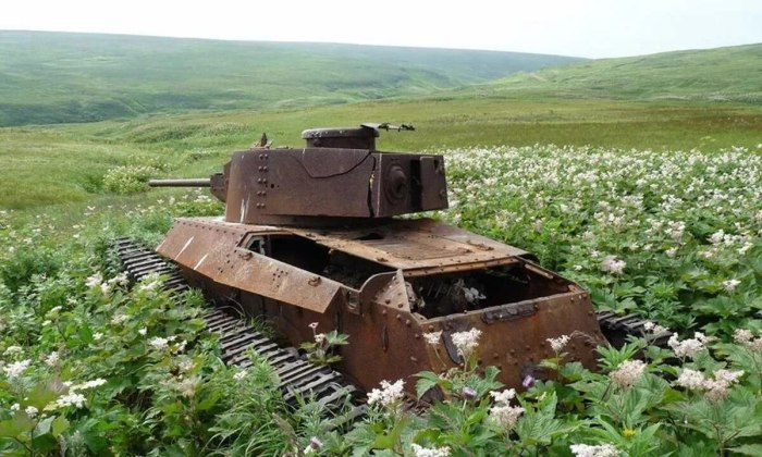 Остров Шумшу Курильские острова
