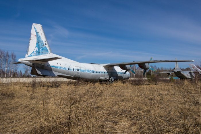 Самолет АН-10