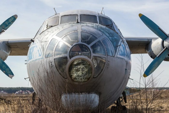 АН-10 кабина