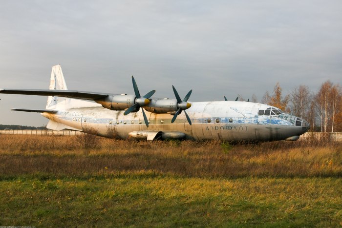 АН 10 11213