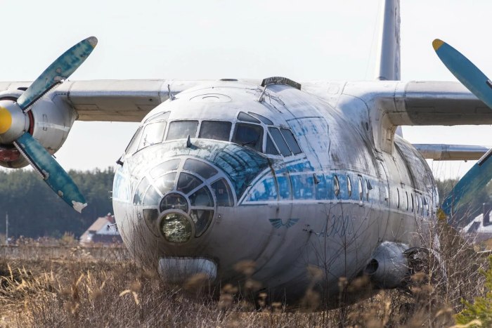 АН-10 салон
