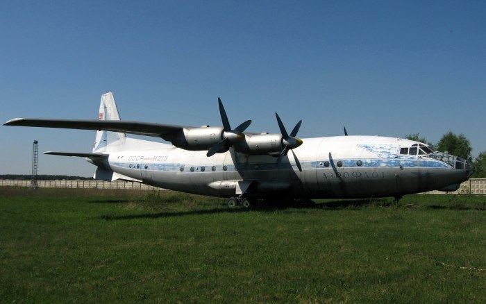 АН-10 кабина