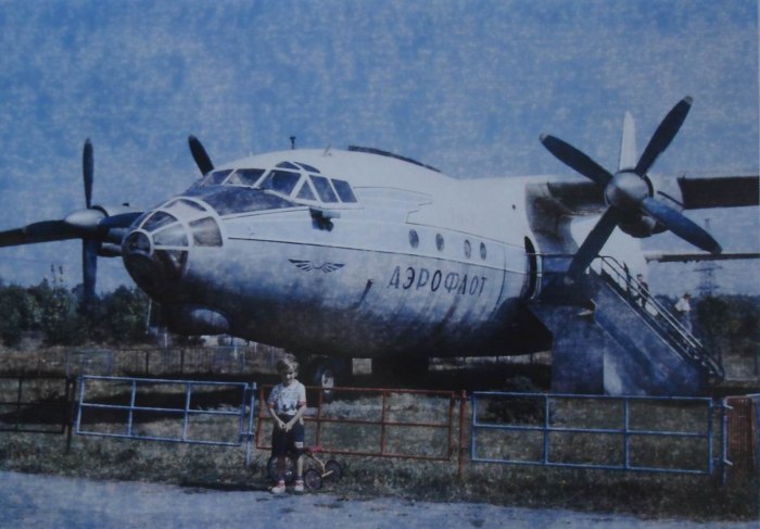 АН-10 пассажирский самолёт салон